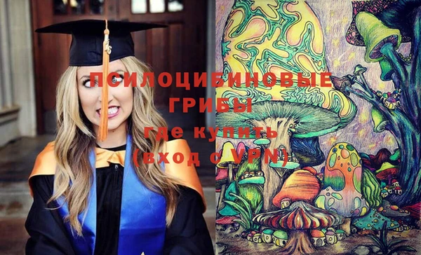 PSILOCYBIN Белоозёрский