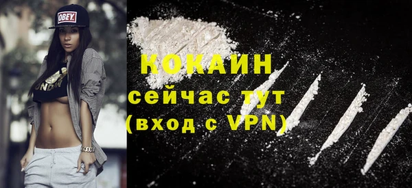 стаф Богданович