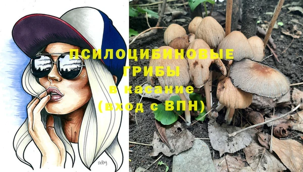 каннабис Богородицк
