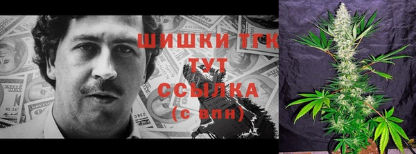 стаф Богданович